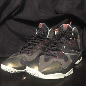 Lebron 11 Kings Pride